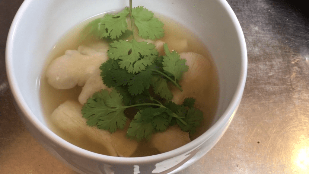 mushroom fermenting
