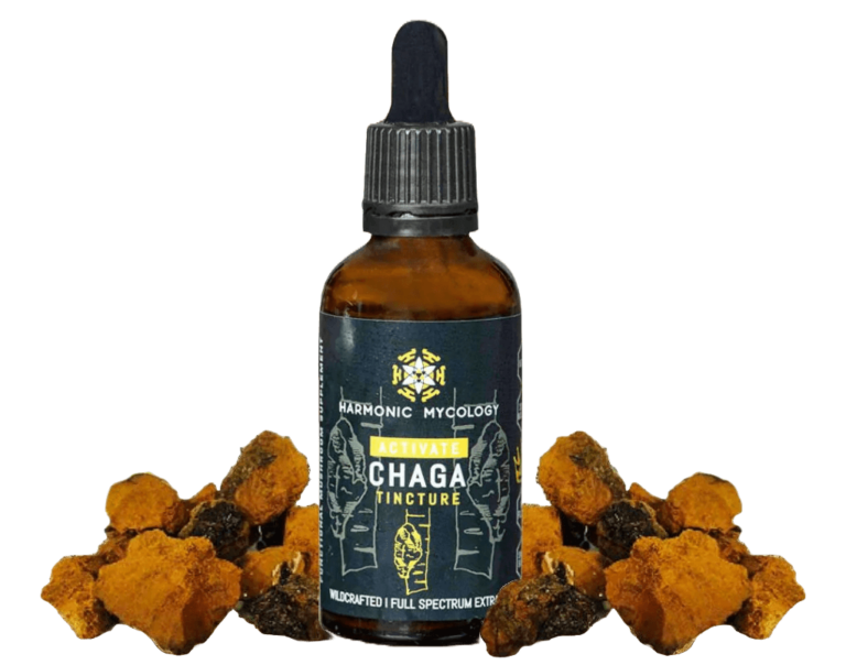 chaga tincture extract 50 ml