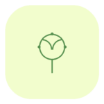 Alzheimers disease health mushrooms icon
