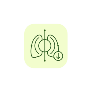 Minimalist line art icon featuring an expansive, open-branched pulmonary structure anchored across a central integration circle in sage green (#589150) on a soft yellow background badge (#F2FDCD).