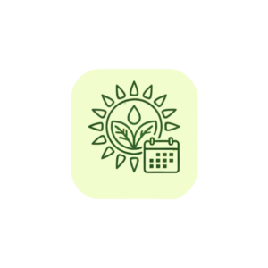 Minimalist line art icon featuring a vibrant, radiating central sunburst node balanced within a continuous, flowing circular meridian in sage green (#589150) on a soft yellow background badge (#F2FDCD).