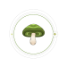 Reishi